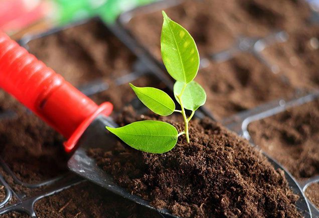 土壤检测到底是要检测什么？